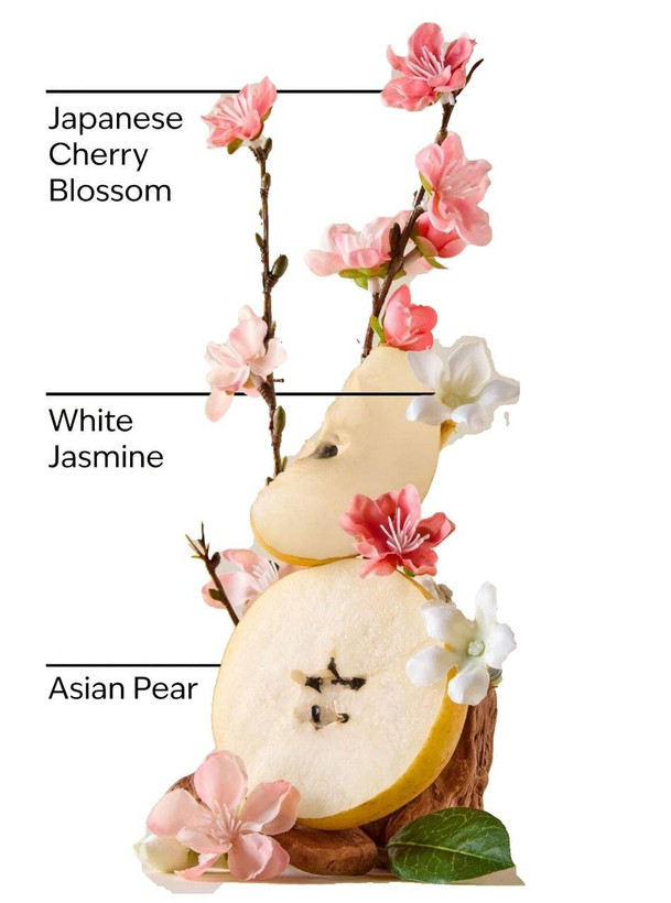 ژل ضدعفونی کنندهی دست بث اند بادی مدل Japanese Cherry Blossom