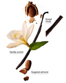 ژل ضدعفونی کنندهی دست بث اند بادی مدل Cozy Vanilla Almond